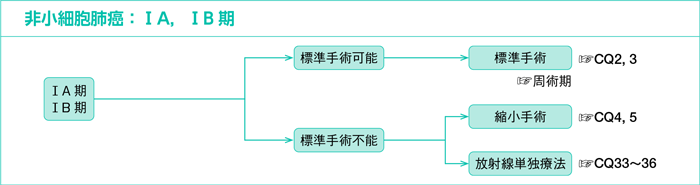 非小細胞肺癌：ⅠA，ⅠB期