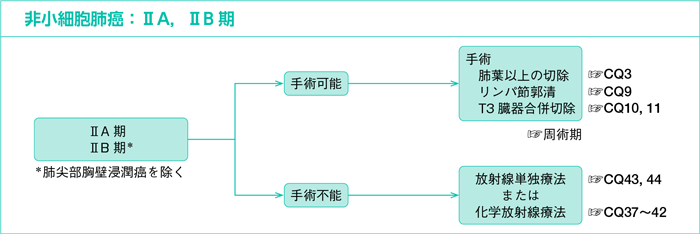 非小細胞肺癌：ⅡA，ⅡB期