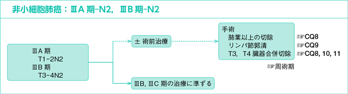 非小細胞肺癌：ⅢA-N2，ⅢB-N2
