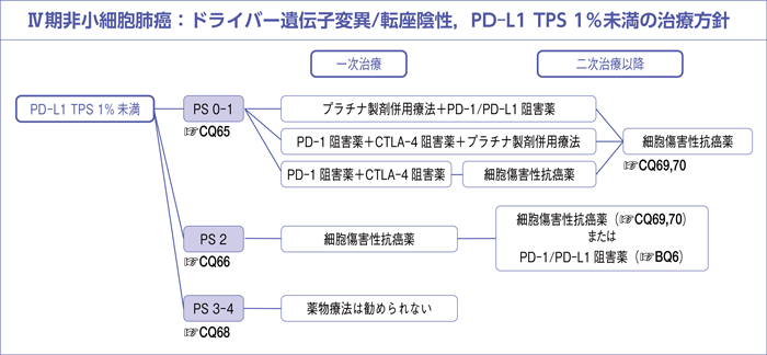 Ⅳ期非小細胞肺癌:ドライバー遺伝子変異/転座陰性,PD-L1 TPS 1%未満の治療方針