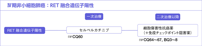 Ⅳ期非小細胞肺癌:RET融合遺伝子陽性