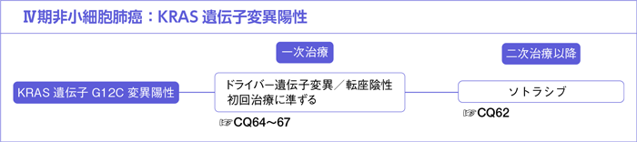 Ⅳ期非小細胞肺癌:KRAS遺伝子変異陽性