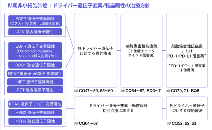 Ⅳ期非小細胞肺癌:ドライバー遺伝子変異/転座陽性の治療方針