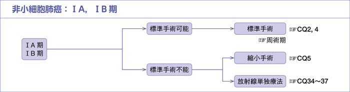 非小細胞肺癌：ⅠA，ⅠB期