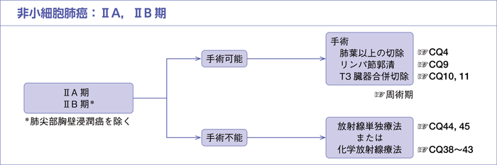 非小細胞肺癌：ⅡA，ⅡB期