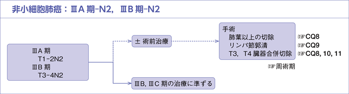 非小細胞肺癌：ⅢA-N2，ⅢB-N2