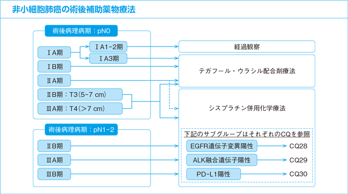 非小細胞肺癌の術後補助化学療法