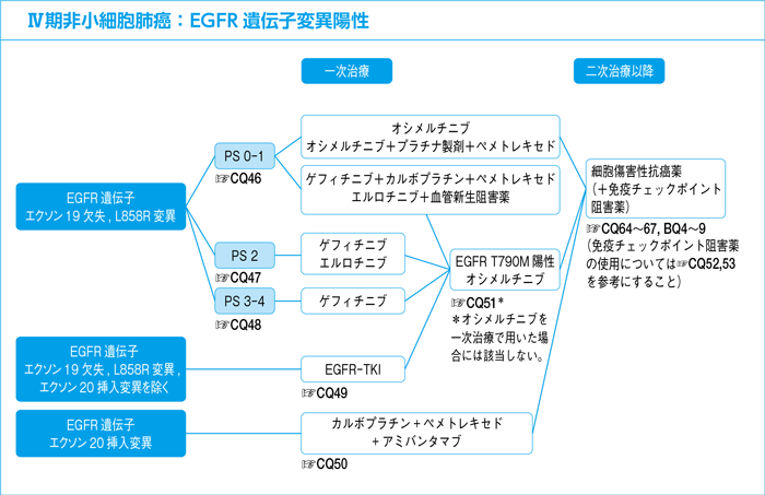 Ⅳ期非小細胞肺癌：EGFR遺伝子変異陽性