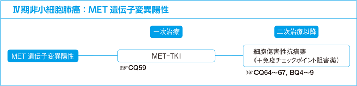 Ⅳ期非小細胞肺癌:MET遺伝子変異陽性