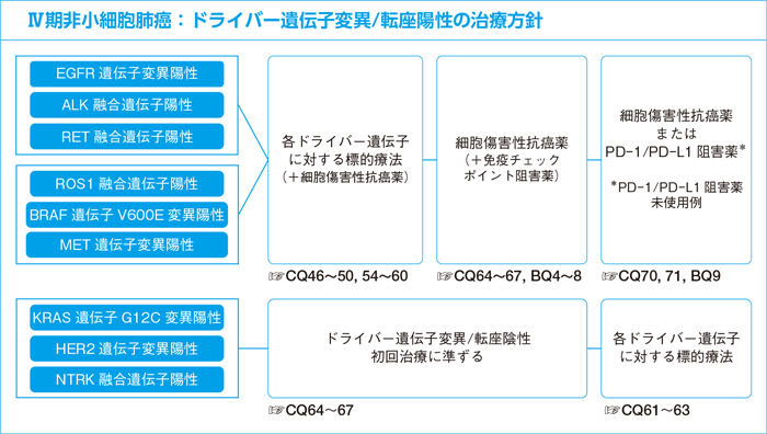 Ⅳ期非小細胞肺癌:ドライバー遺伝子変異/転座陽性の治療方針