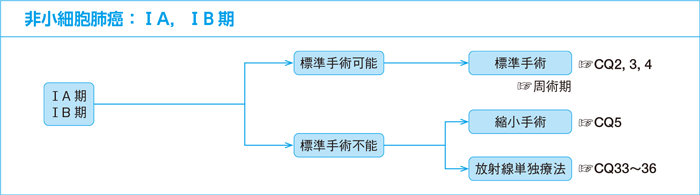非小細胞肺癌：ⅠA，ⅠB期