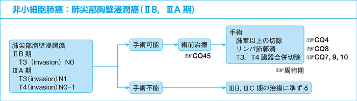 非小細胞肺癌：ⅡB，ⅢA期