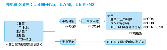 非小細胞肺癌：ⅡB期-N2a，ⅢA期，ⅢB期-N2
