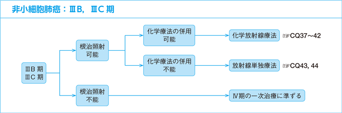 非小細胞肺癌：ⅢB，ⅢC期