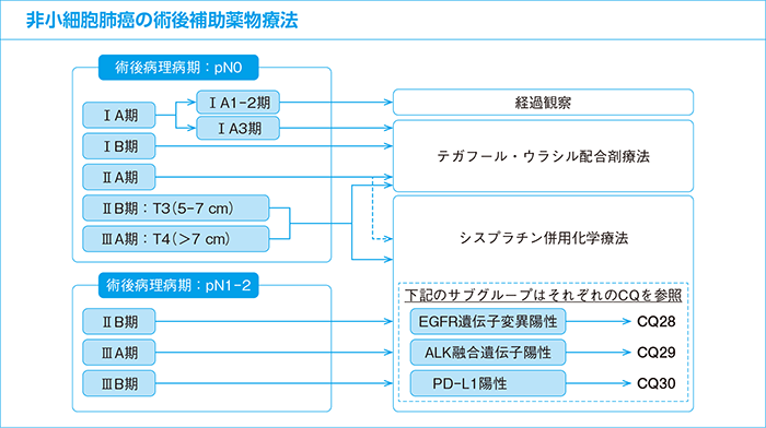 非小細胞肺癌の術後補助化学療法