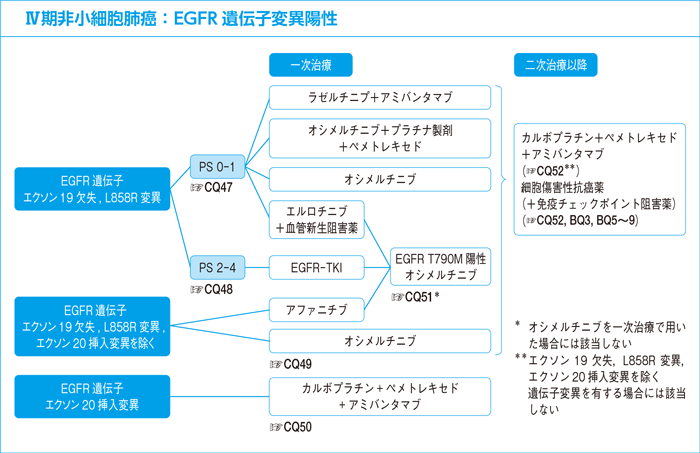 Ⅳ期非小細胞肺癌：EGFR遺伝子変異陽性