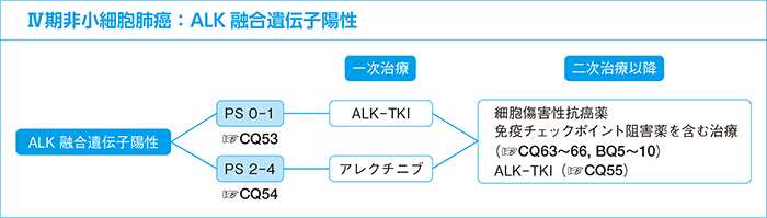 Ⅳ期非小細胞肺癌：ALK融合遺伝子陽性