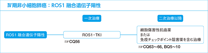 Ⅳ期非小細胞肺癌：ROS1融合遺伝子陽性