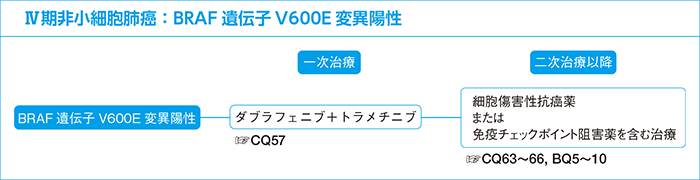 Ⅳ期非小細胞肺癌：BRAF遺伝子変異陽性