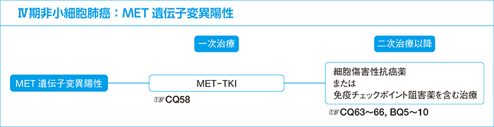 Ⅳ期非小細胞肺癌：MET遺伝子変異陽性