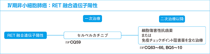 Ⅳ期非小細胞肺癌：RET融合遺伝子陽性