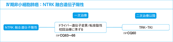 Ⅳ期非小細胞肺癌：NTRK融合遺伝子陽性