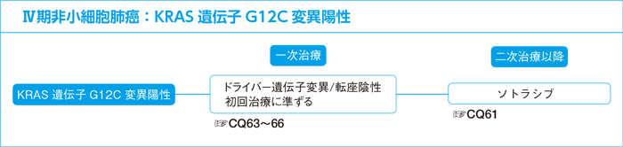 Ⅳ期非小細胞肺癌：KRAS遺伝子変異陽性