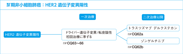 Ⅳ期非小細胞肺癌：HER2遺伝子変異陽性