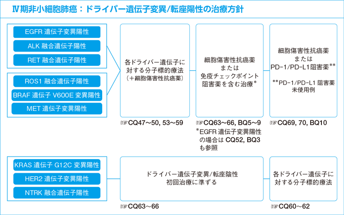 Ⅳ期非小細胞肺癌：ドライバー遺伝子変異/転座陽性の治療方針
