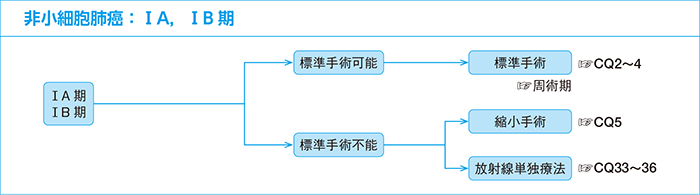 非小細胞肺癌：ⅠA，ⅠB期