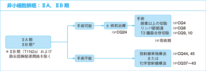 非小細胞肺癌：ⅡA，ⅡB期