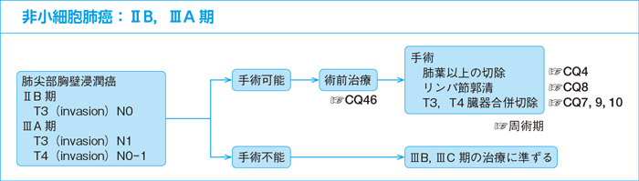 非小細胞肺癌：ⅡB，ⅢA期