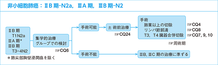 非小細胞肺癌：ⅡB期-N2a，ⅢA期，ⅢB期-N2