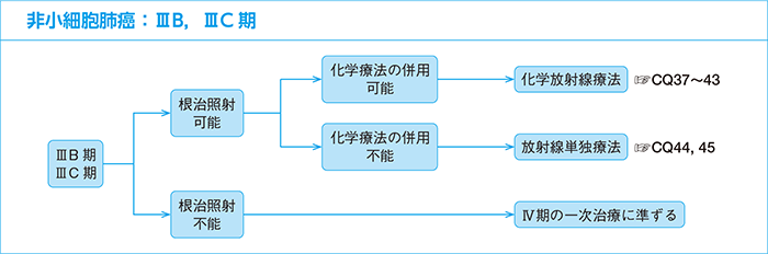 非小細胞肺癌：ⅢB，ⅢC期