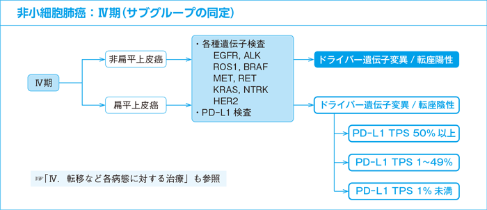 非小細胞肺癌：Ⅳ期（サブグループの同定）