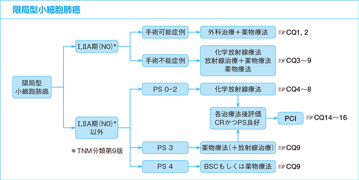 限局型小細胞肺癌